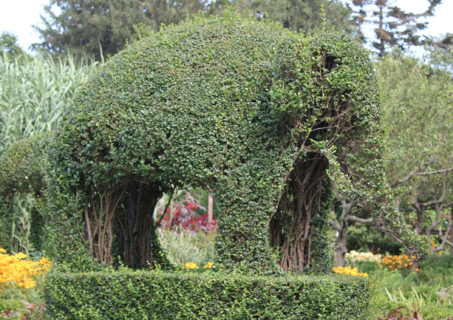 Elephant made out of Bushes