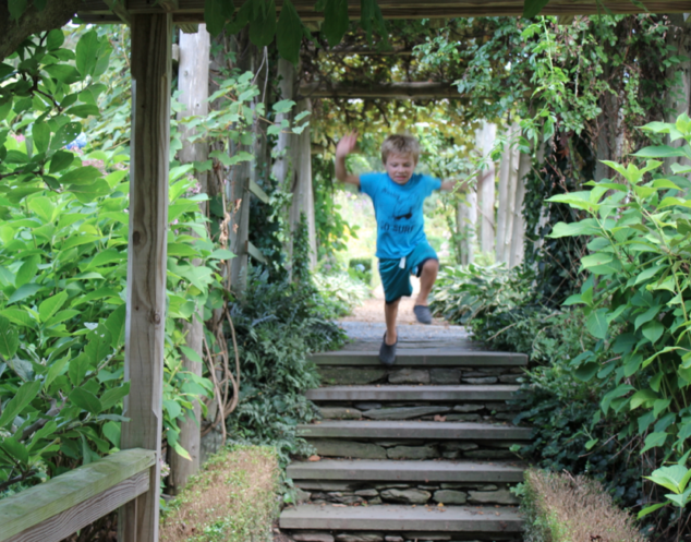 Alex Jumping the Steps at Green Animals Topiary Garden