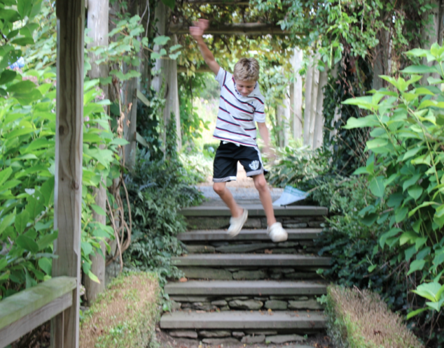 William Jumping the Steps at Green Animals Topiary Garden