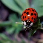 images-1