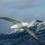 images-1