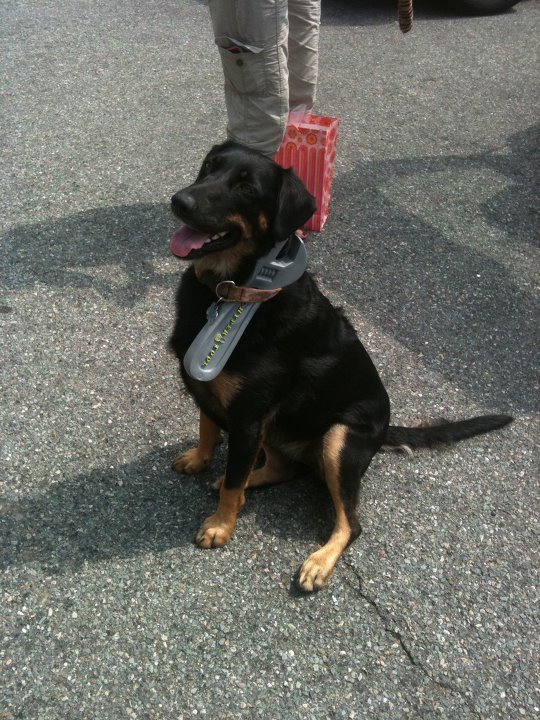 Tansy's 3rd birthday