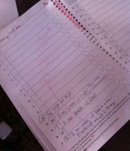 believe i am page Believe I Am training journal