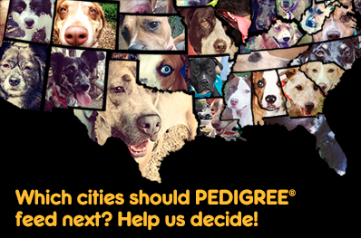 pedigree feeding project