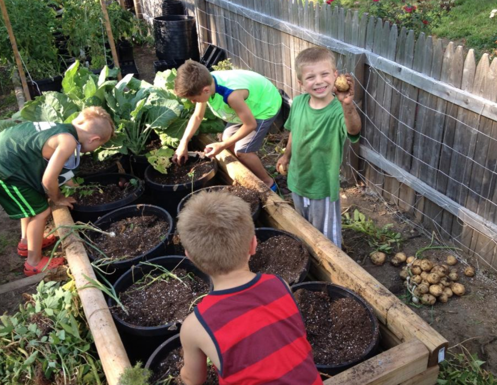 Gro Something Greater with Scott's Miracle-Gro