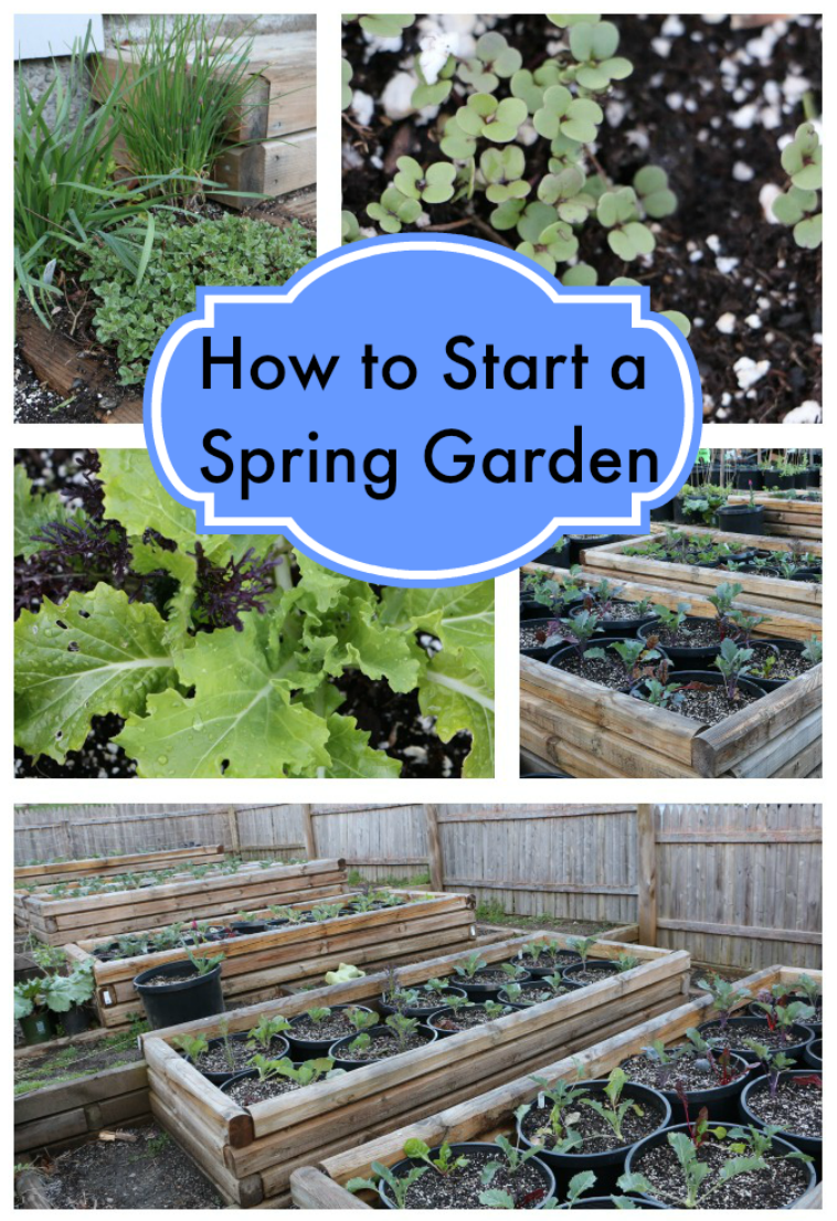 How to Start a Spring Garden - Mom Generations | Audrey ...