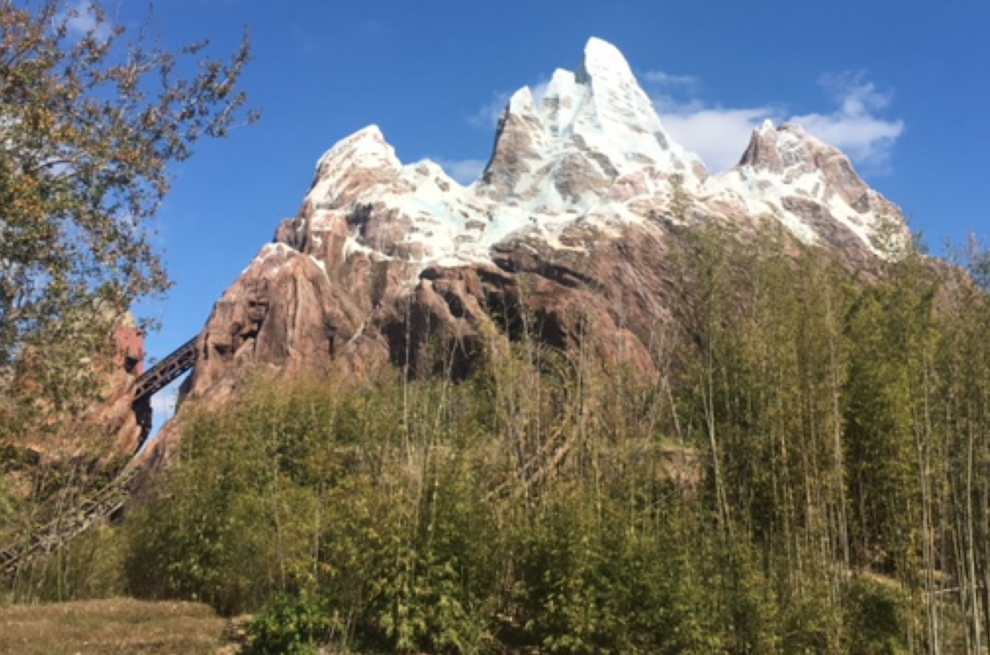 Disney's Animal Kingdom - What Not to Miss - Mom Generations | Stylish