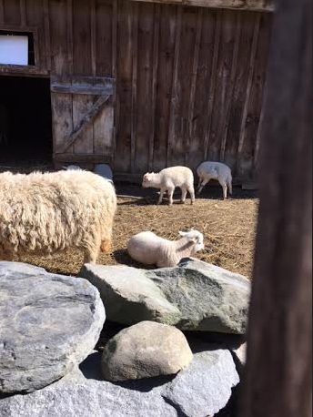 Screen Shot 2016-03-08 at 5.10.31 PM