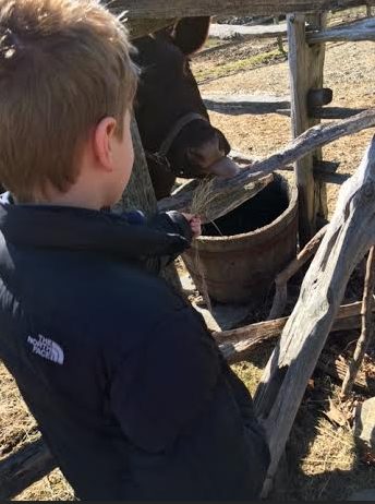 Screen Shot 2016-03-08 at 5.10.48 PM