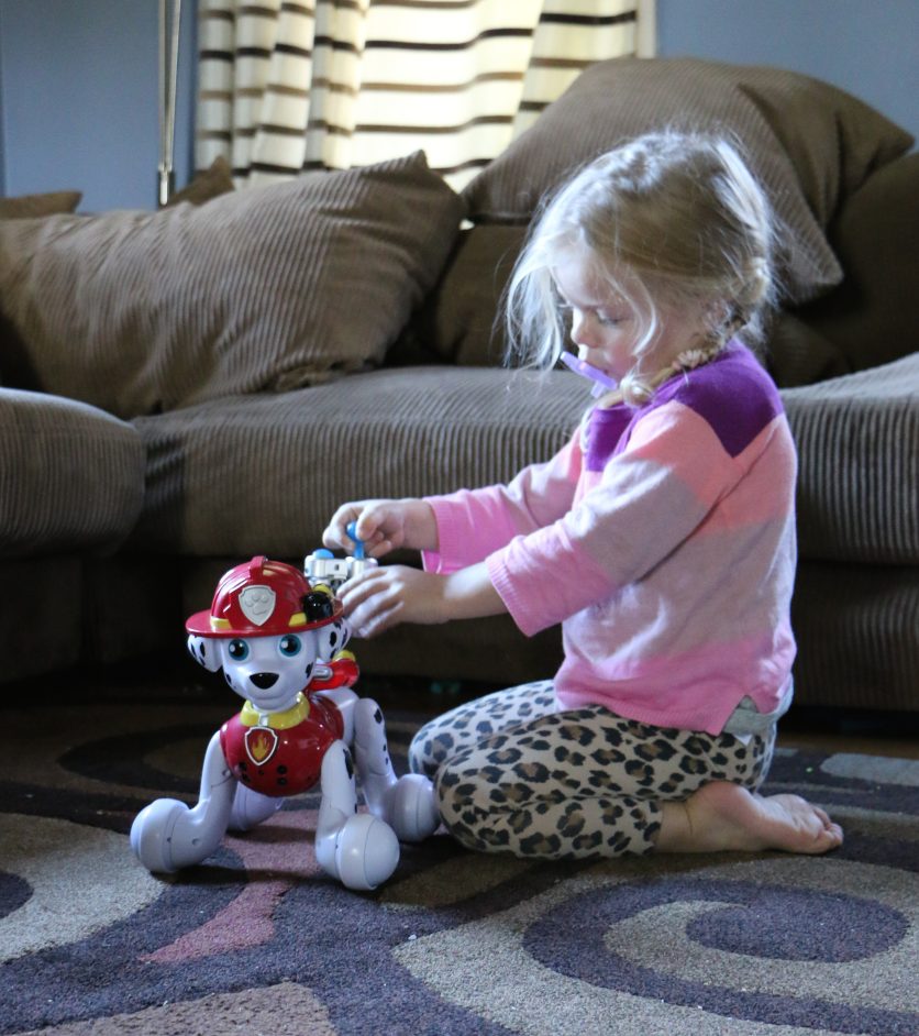 Best Paw Patrol Toys For The Holidays At Toys R Us