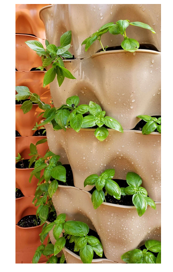 Garden Tower® 2: 50-Plant Composting Vertical Garden Planter Garden Tower® 2: 50-Plant Composting Vertical Garden Planter